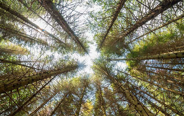 Earth’s natural resources depleted in record-breaking time