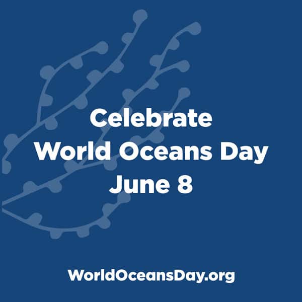 8th June – World Oceans Day 2019