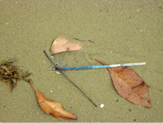 Environmentally speaking, the ‘Pen’ny has dropped!