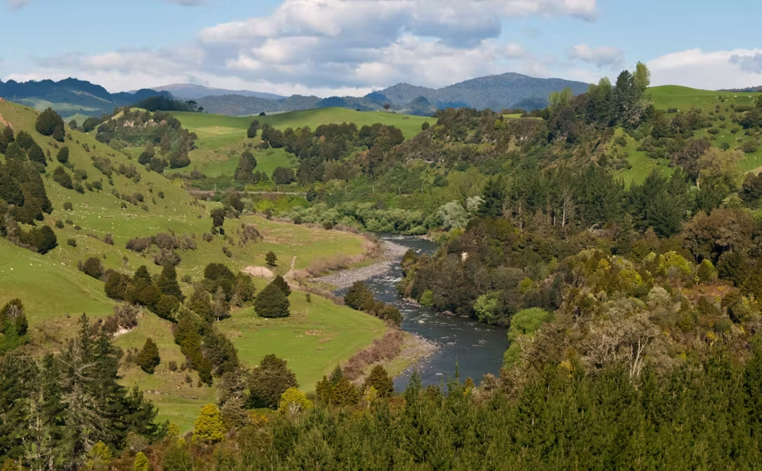 How Environmental Law is Evolving to Defend the Planet