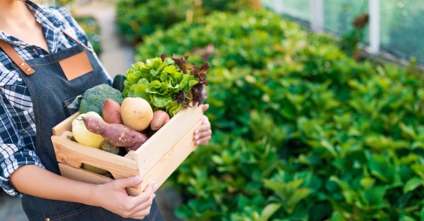HOME GROWN food and herbs