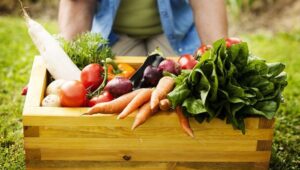 Sustainable vs organic