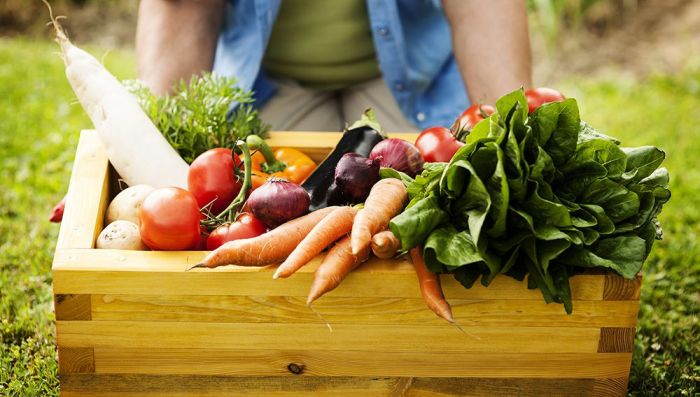 Organic vs Sustainable