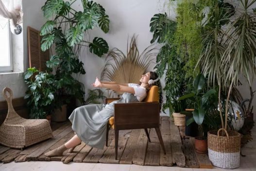 Relaxing home with houseplants