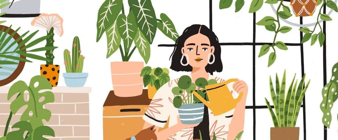 Can Houseplants Really Purify the Air? What the Science Says