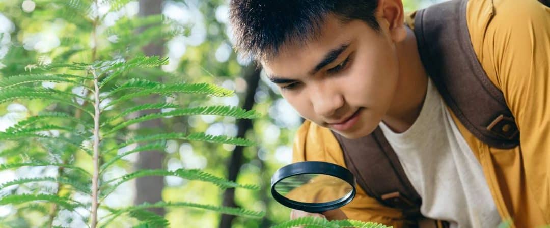 Eco-Literate Children Can Become the Next Generation of Nature Stewards