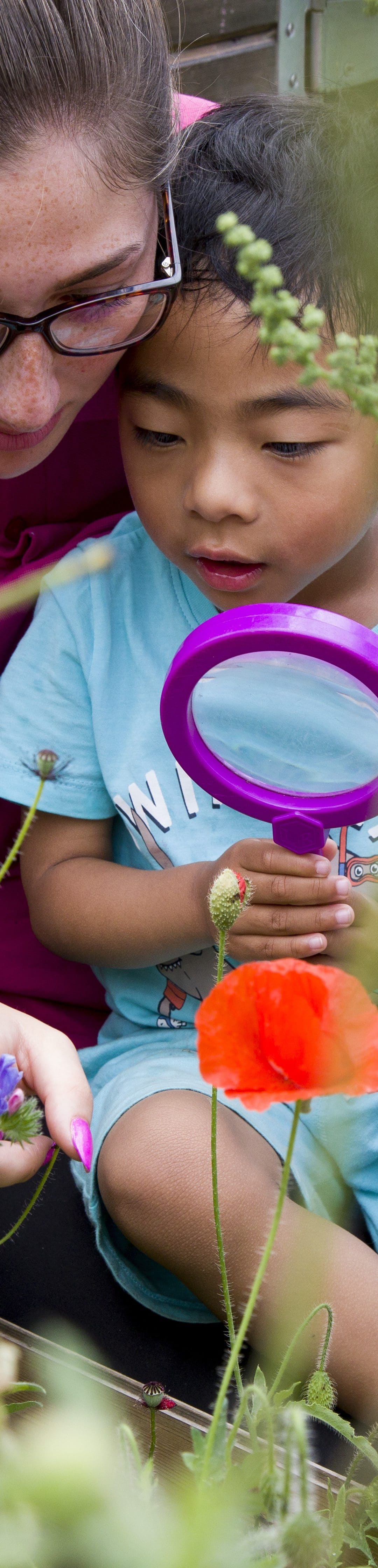 New National Forum Group aims to raise awareness about sustainability in Early Childhood Education and Care sector