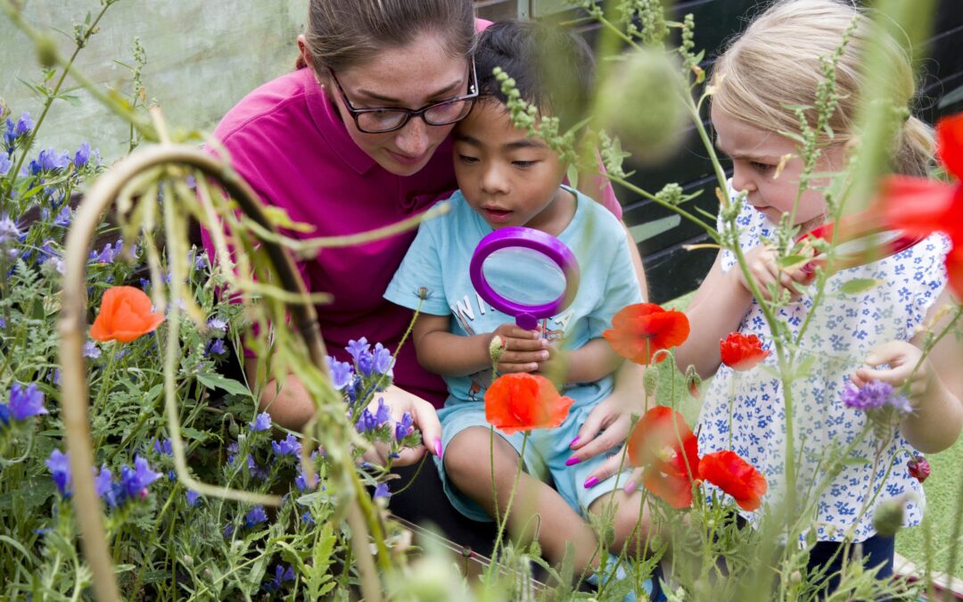 New National Forum Group aims to raise awareness about sustainability in Early Childhood Education and Care sector
