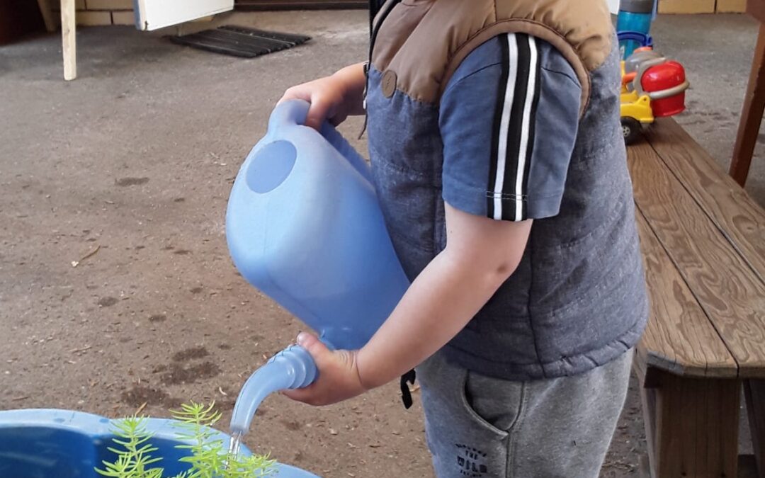 5 Ways to Encourage Sustainability in Early Years