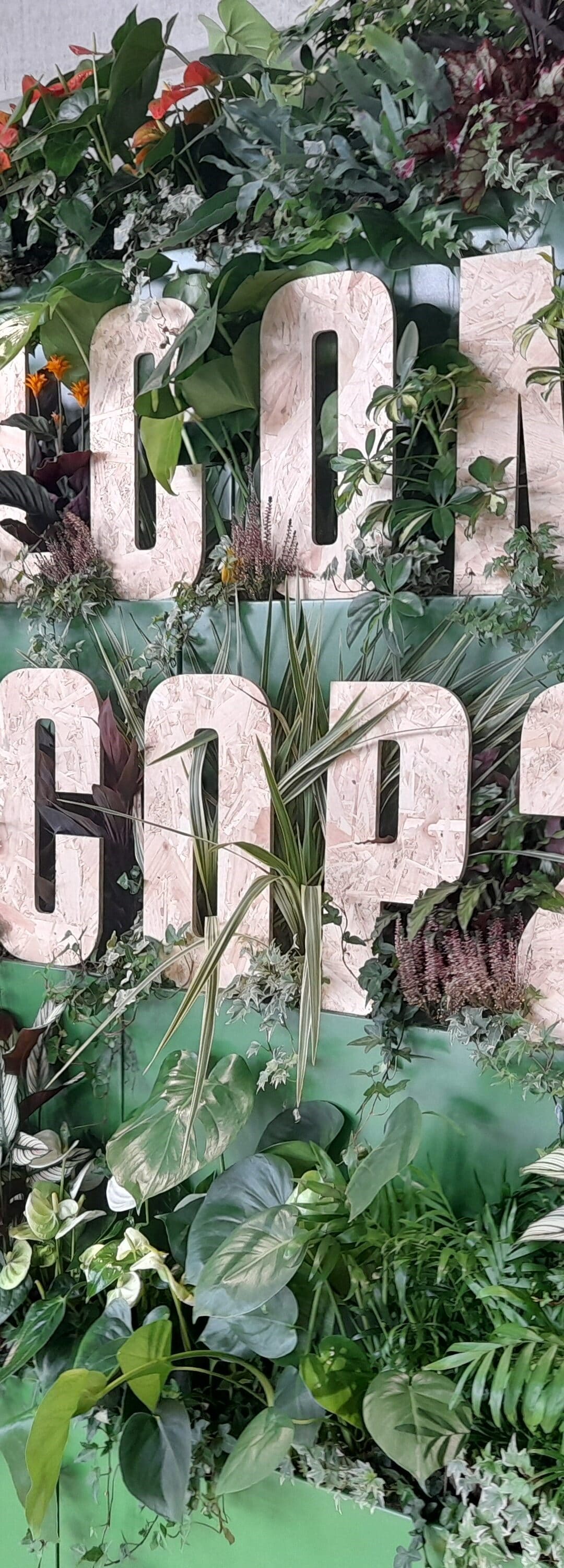 Climate Breakdown and Sustainability