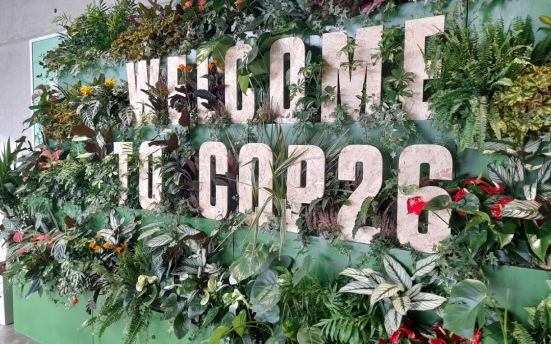 Climate Breakdown and Sustainability