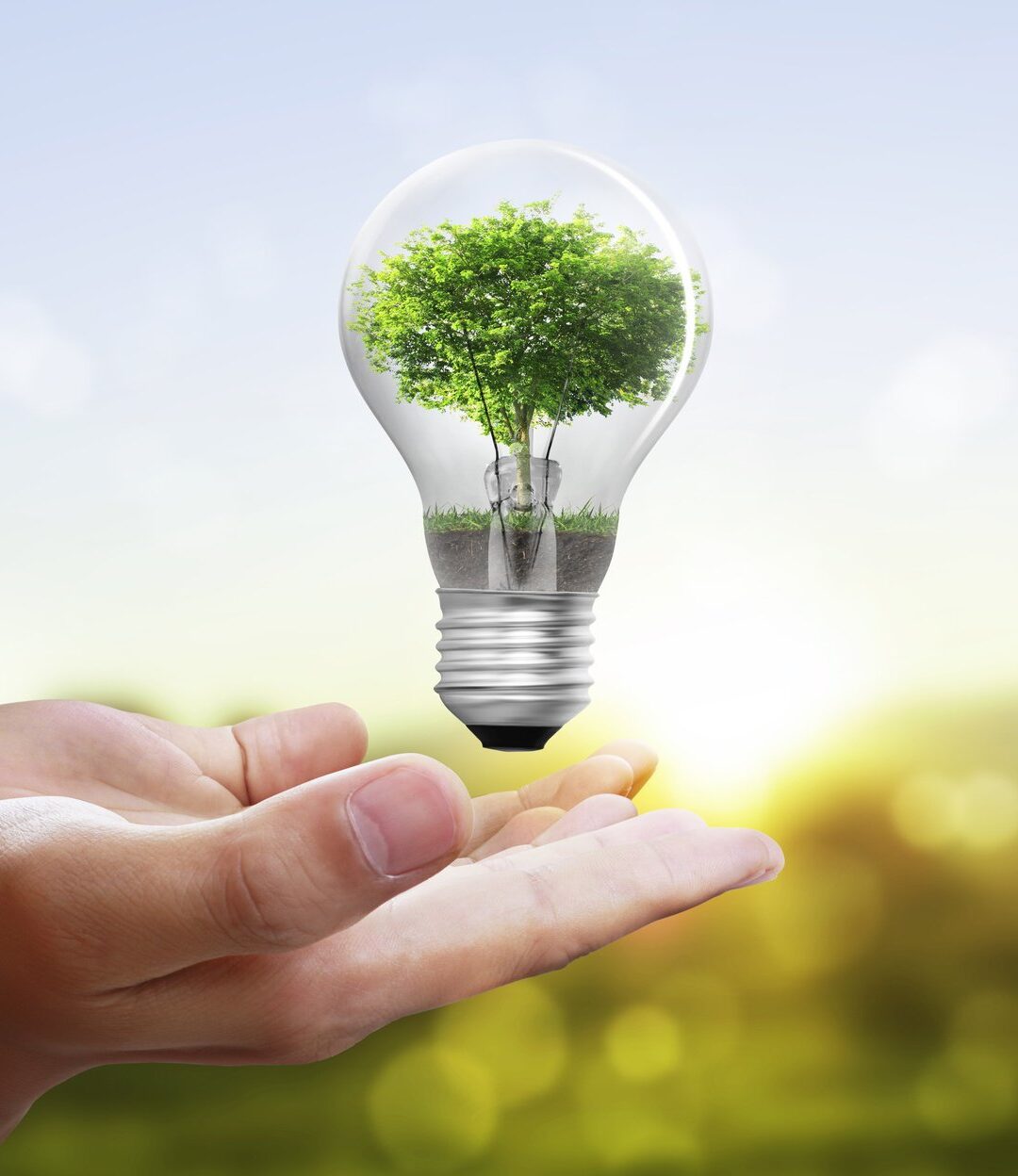 Energy Consumption in Nurseries