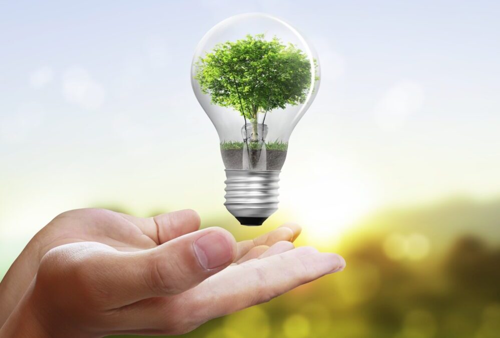 Energy Consumption in Nurseries