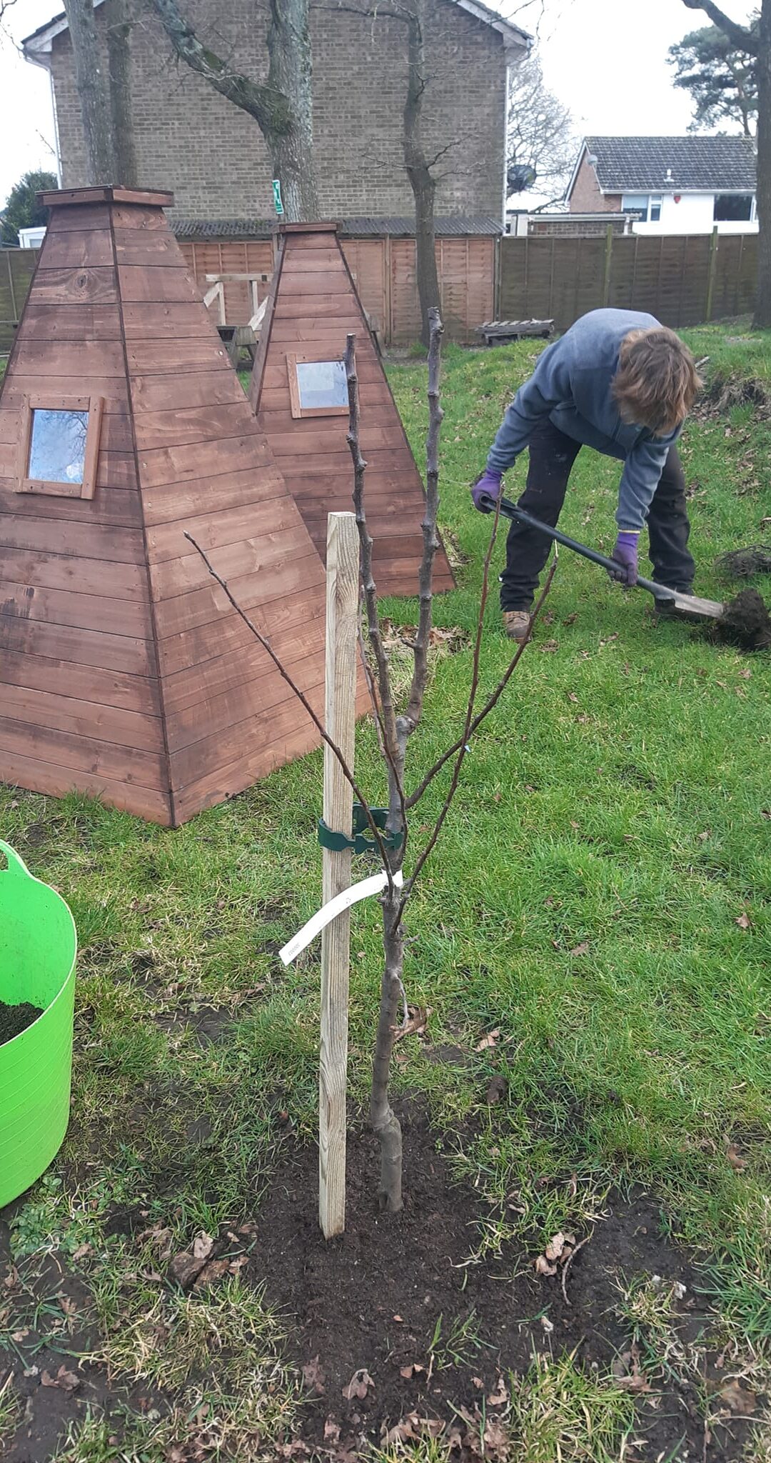 Planting Fruit Trees