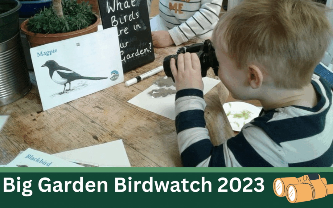 The Big Garden Bird Watch