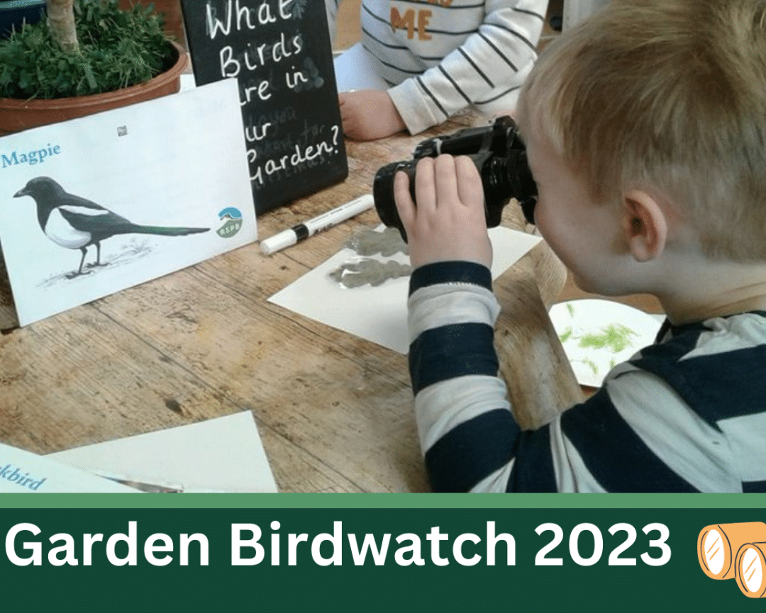 The Big Garden Bird Watch