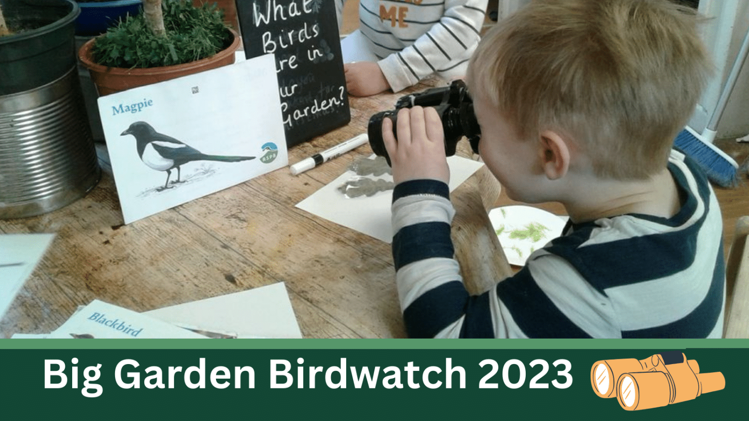 The Big Garden Bird Watch