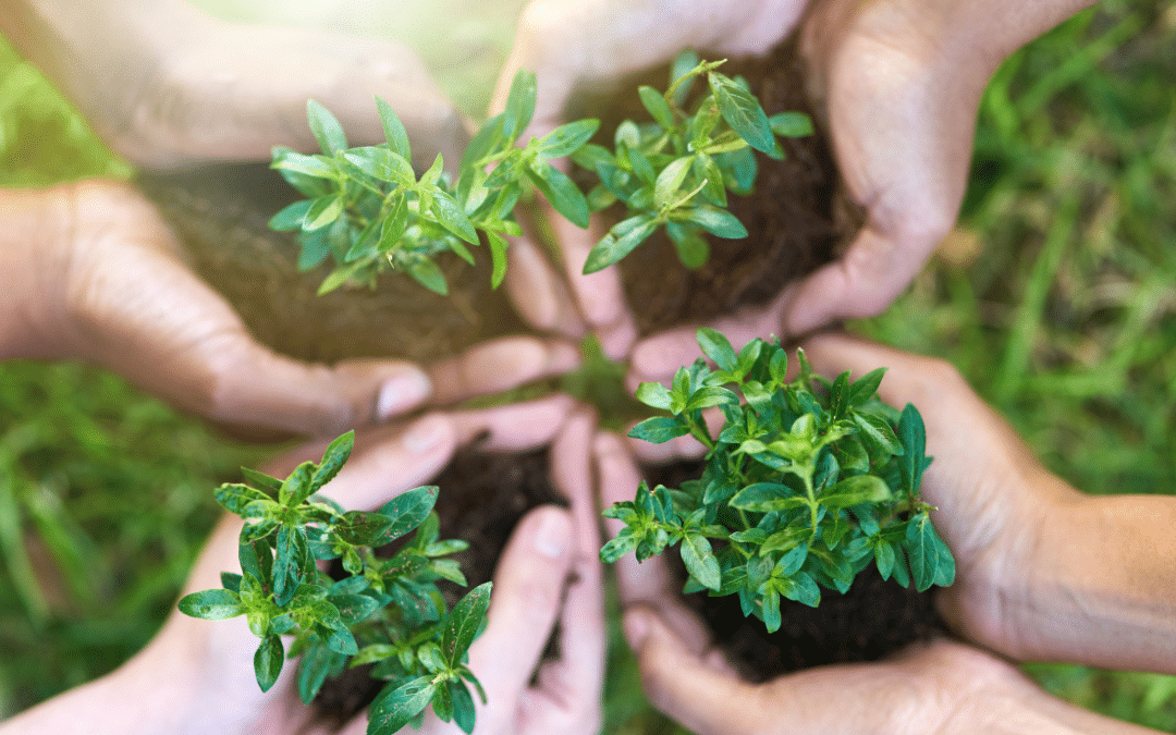 Operationalising Sustainability: Turning Principles into Practice